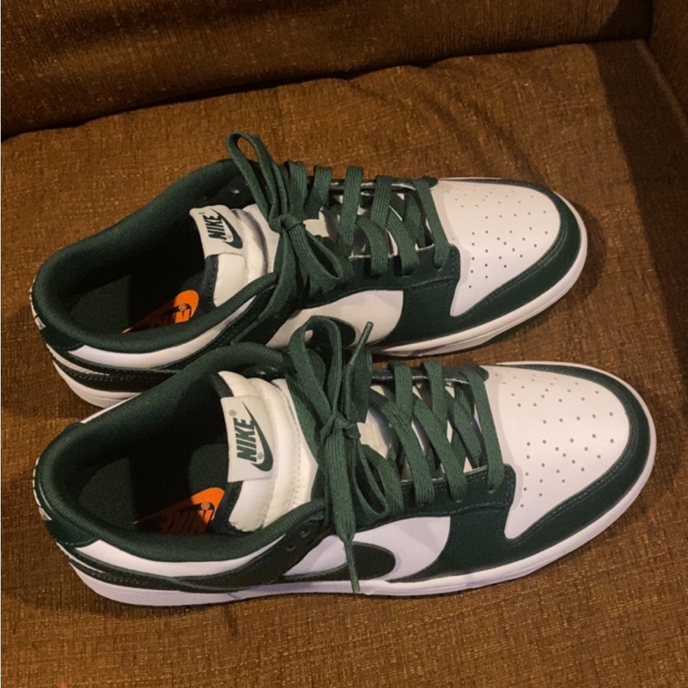 Nike Dunk Low, Michigan, Size 9.5